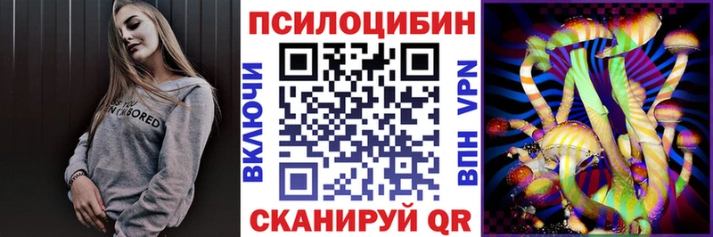 Галлюциногенные грибы Cubensis маркетплейс официальный сайт Сертолово