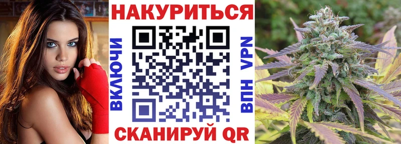 наркота  Сертолово  Канабис семена 